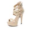 Fashion Summer Nightclub Pole Dancing Shoes Platform Shoes 16.5CM Party Rivet Ankle Strap Sandal Women Model Extreme High Heels Sandals