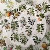 Kawaii Creative Flower Plant Stickers Hand Tent DIY Stick Labels Scrapbooking Material Junk Journal Supplies
