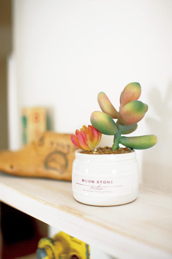 Kishima Eclea Deodorizing Artificial H10 Green, Green, Size Approx. W23.5 D7.5 Cm, KH-61189