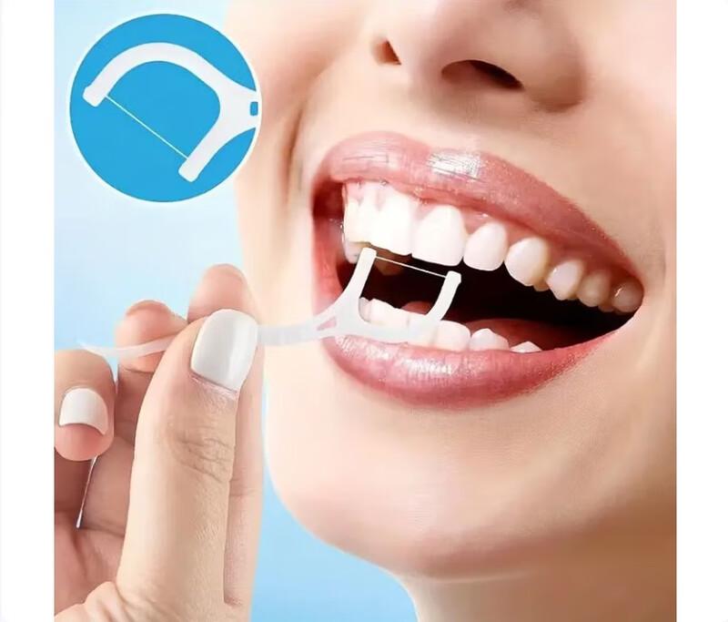 FAWNMUM Classic Dental Floss Picks, 500 Count