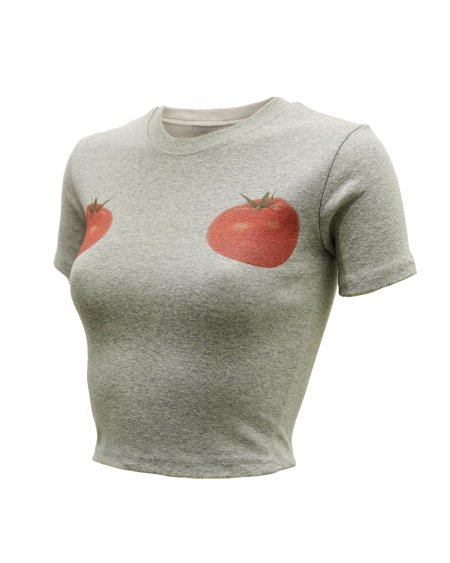 Tud Printed Crop T-Shirt Gray