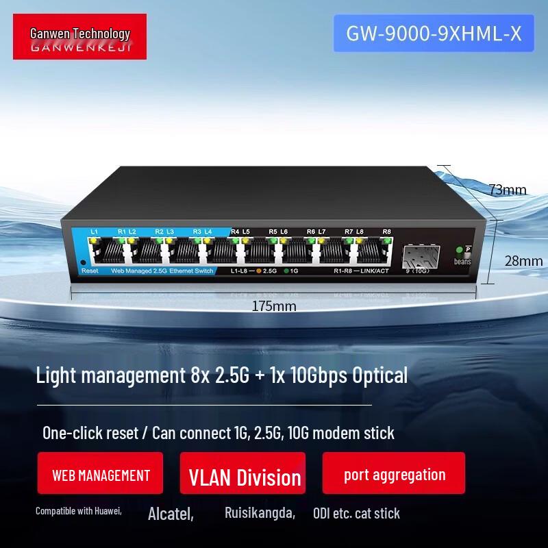 Ganwen Technology 2.5G/10G SFP Ethernet Switch
