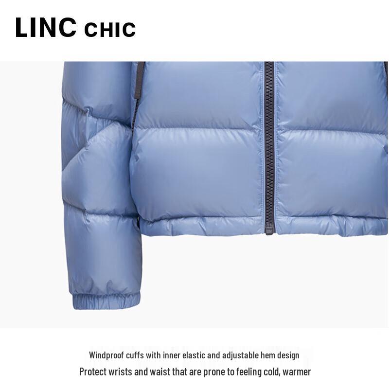 Damen 2024 Herbst/Winter Kurze Stehkragen Puffer Daunenjacke