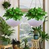 Hanging Planter & Baskets, Hanging Pots for Plants Indoor, 2PCS 6.5" Self Watering Hanging Planter, Hydroponics/Soil Culture Hanging Flower Pot with