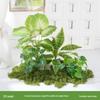 Luxury Faux Green Plant and Flower Decor - Indoor Moss and Grass Clusters for Elegant Landscaping.
