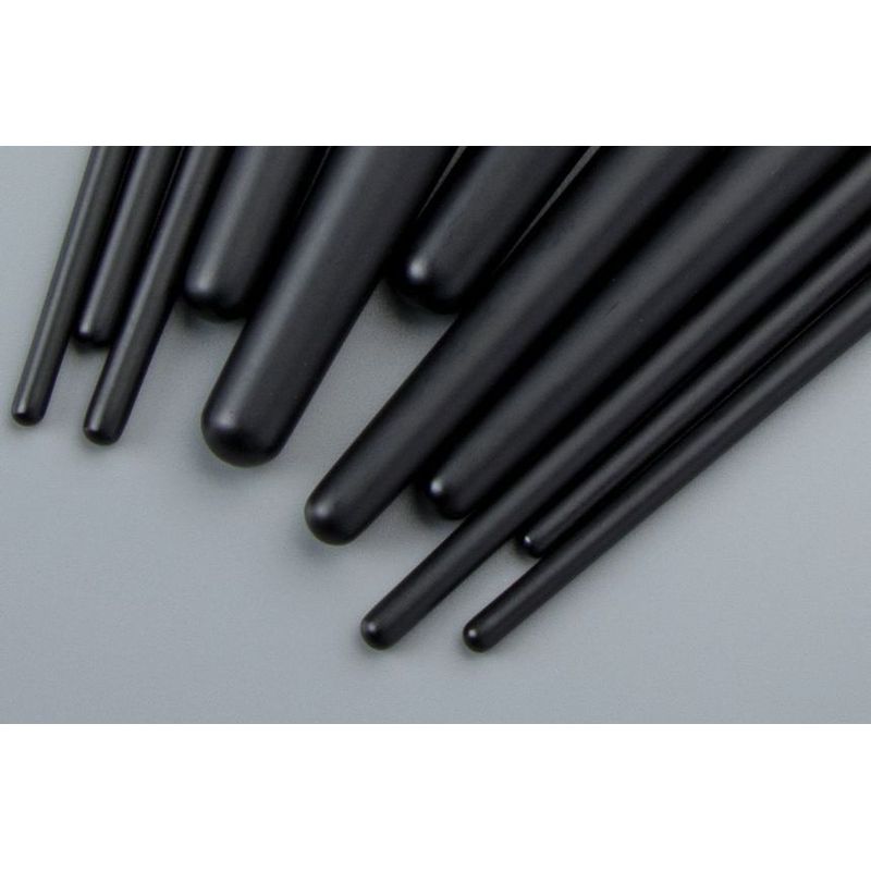 Violeta - Set of 11: Makeup Brush with Case