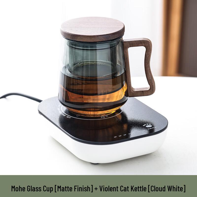 OLOEY Glass Tea Infuser Bottle
