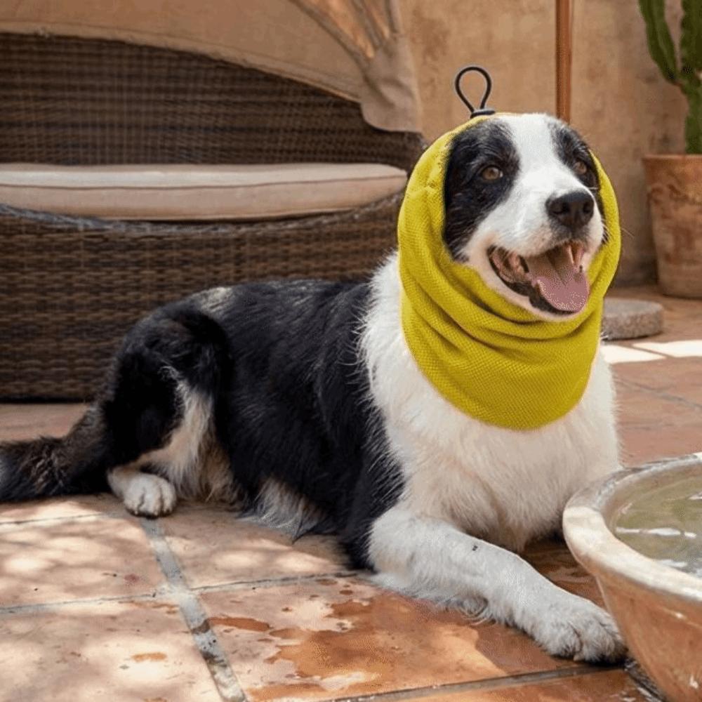 Quick Dry Dog Cooling Head Cover Anti Insect Mosquito Dog Ear Cover Pet Dog Earmuffs  Dog Walking