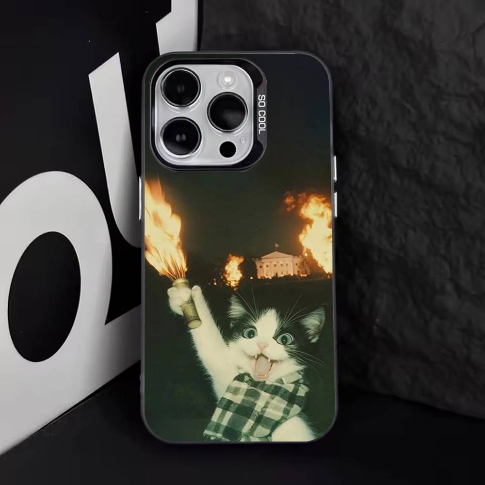 

Чехол для телефона с мемами про кошек для iPhone 11,12,13,14,15,16,17,Pro,Max,Plus,E,Air,Mini IMD Матовый черный iPhone17