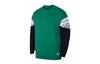 Sweatshirts Men's Green Crew Neck Moderate Regular AO0427-302