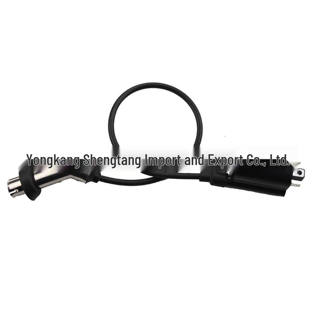 

Ignition Coil for 257cc/260cc/300cc Roketa MC 250-B FS300 ATV Single Cylinder