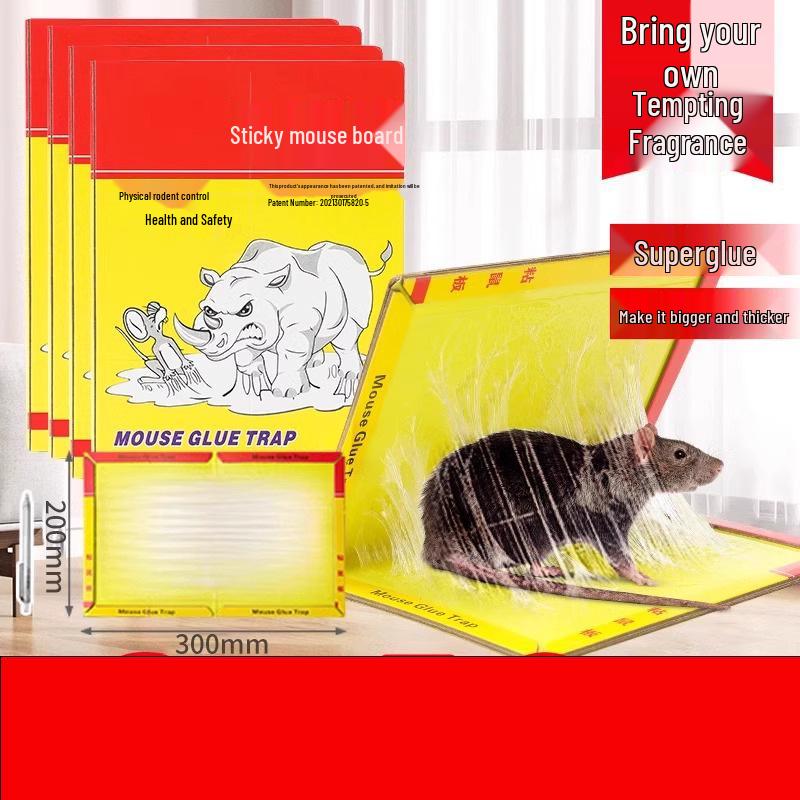 

Автоматическая клетка-мышеловка - Эффективный инструмент для борьбы с грызунами в доме