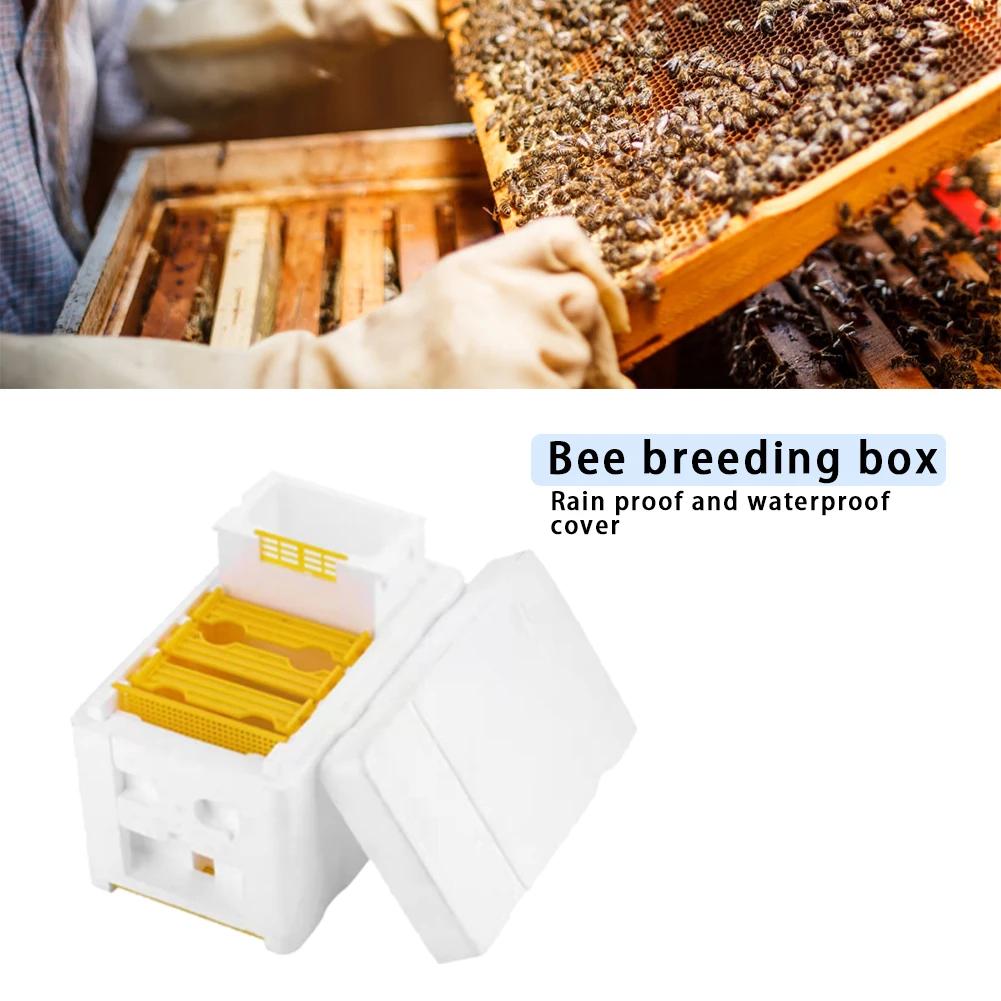 Beehive Beekeeping Box Tools For Beekeeper Supplies Bee Hive Frame Holder Equipment Kit Beehive Pollination King Bees Hive Box