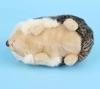 Eco-friendly Lifelike Waterproof Hedgehogz Plush Dog Toy Medium Polyester