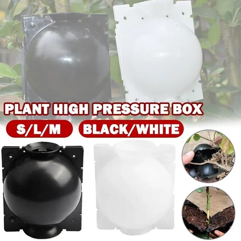 5Pcs Plant Rooting Ball Grafting Rooting Growing Box Breeding Seeding Case Container Nursery Box Garden Seeds Root