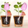 1/2Pcs Pomegranate Flower Watering Machine Glass Creative Modeling Watering Machine Pot Lazy Watering Machine Tulip Waterer