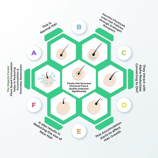 Organic Forest 100% VEGAN Čistý za studena lisovaný ricinový olej pro růst vlasů | Bez hexanu Vlasový olej pro ženy a muže | Ricinový Arandi olej | 100 ML