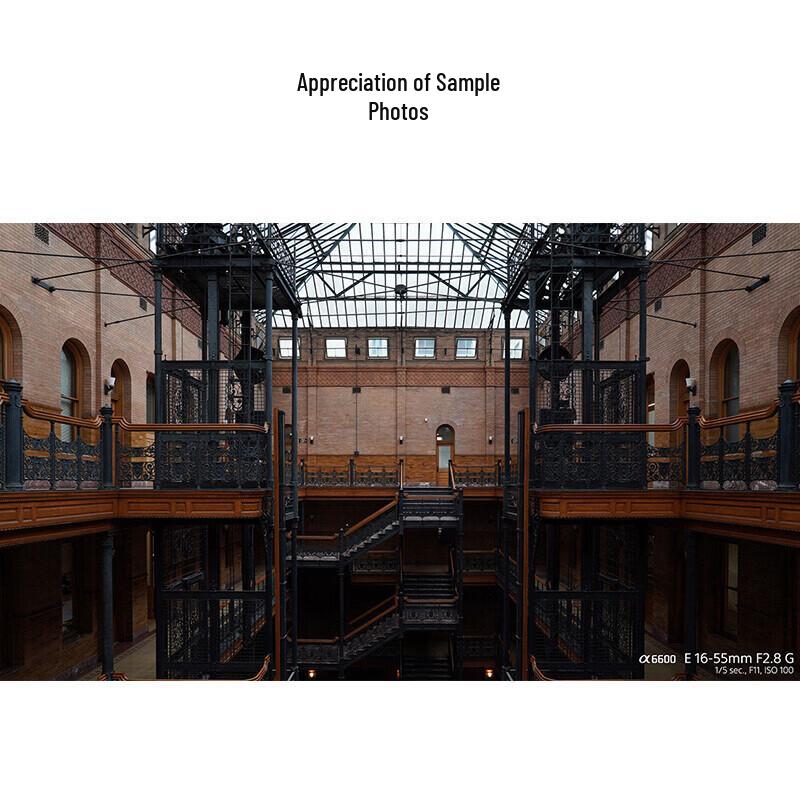 Sony E-Mount APS-C Camera Lenses