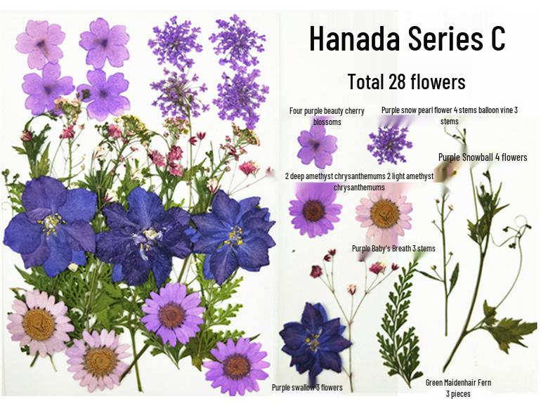 Handmade Kindergarten Collage: Real Dried Leaf and Flower Stickers for Face and Photo Decoration