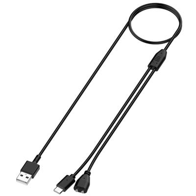 1m USB Ladekabel Magnetisches Stromkabel mit USB C Ausgangsanschluss für Delupet DT66 DT67 DT68 Hundeerziehungshalsband