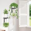 2pack Black Metal Plant Holder Wall Hanging Flower Shelf For Wall Installation Accommodates Multiple Pots Indoor Display