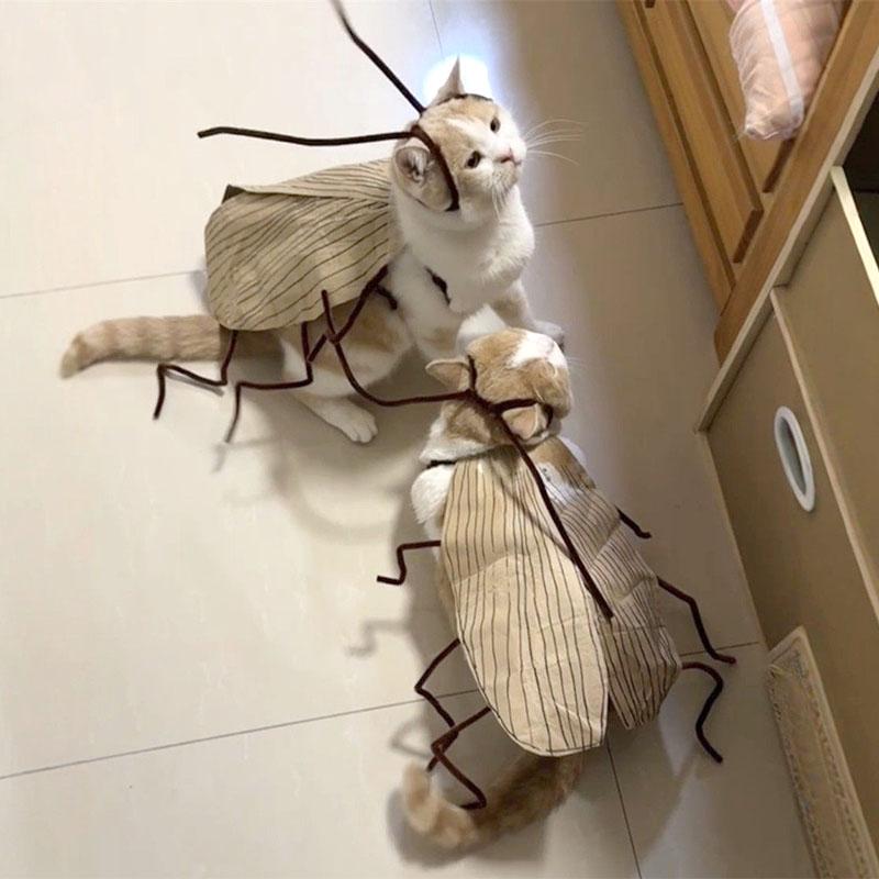 1PC Realistic Cockroach Cat Costume with Detachable Wings Funny Cockroach Clothing for Cat Cosplay Dress Up DIY Material Pack