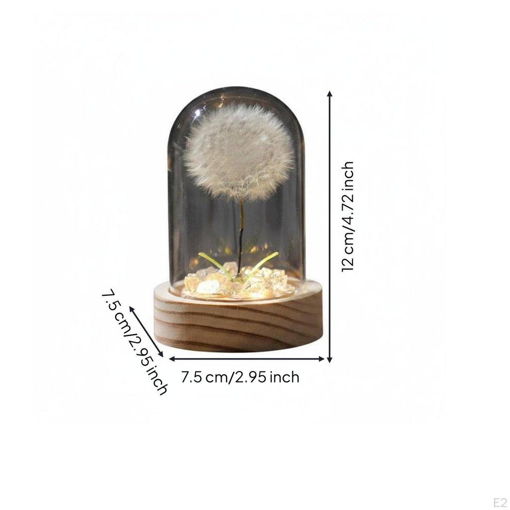 Puffball Crystal Ball Lamp Gift Idea Dome Decorative Decoration Glass Cover Night