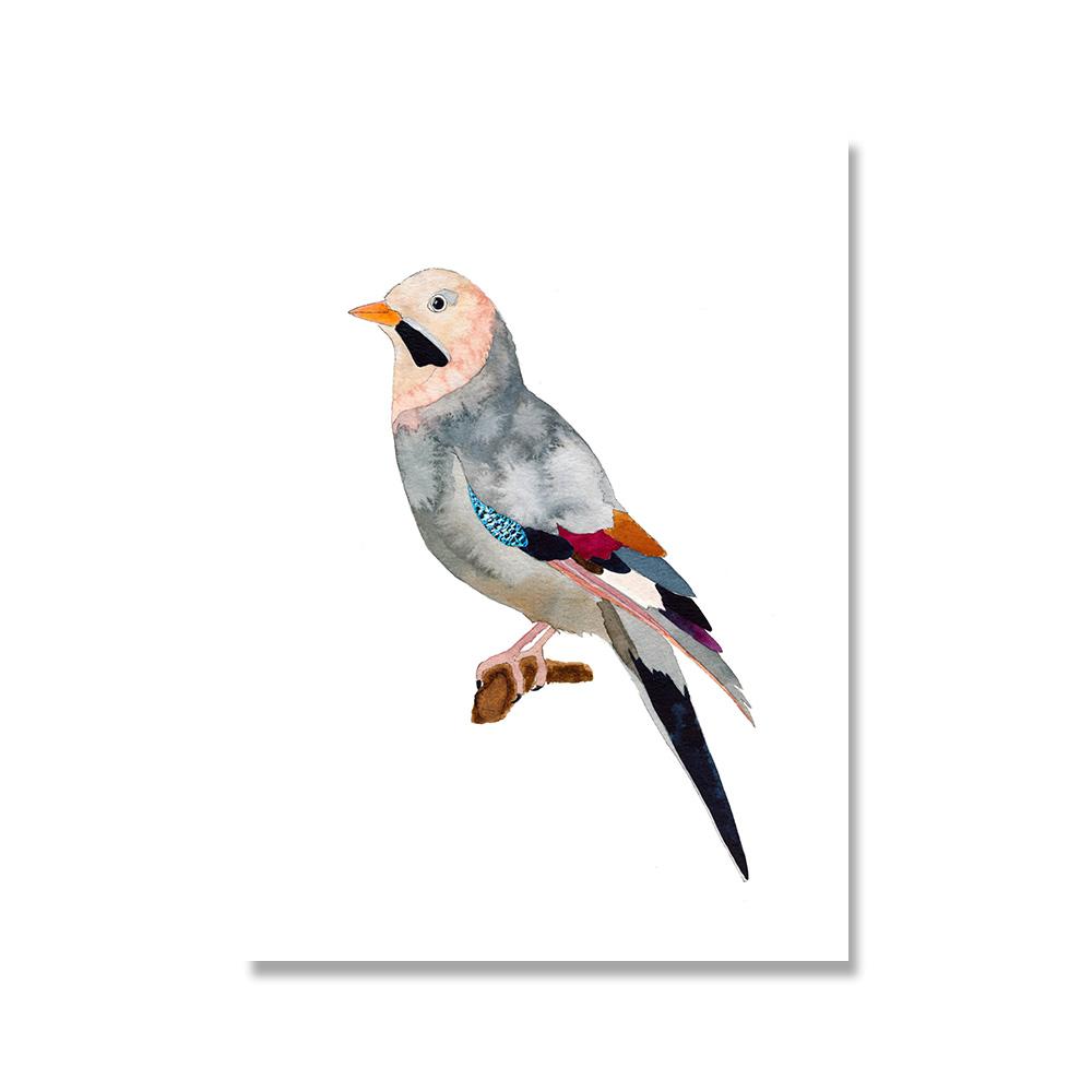 Toucan Watercolor Tropical Rain Forest  Wall Art Canvas Painting Nordic Toucan Posters And Print Picture Living Room Home Decor