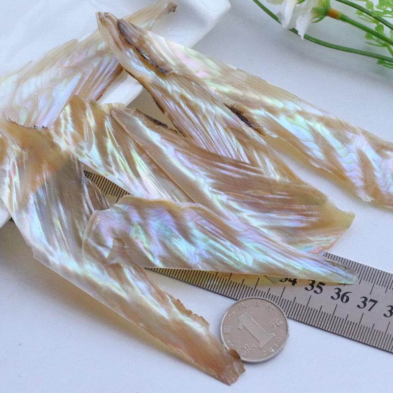 Iridescent Abalone Shell Inlay: Decorative Lacquer Pieces for Musical Instruments and Nail Art.