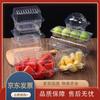 WONHI Disposable Transparent Fruit Containers with Lids