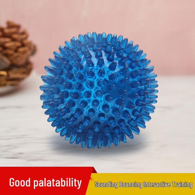 EETOYS Squeaky Spiky Dog Toy