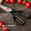 ZWILLING Henckels ZWILLING L Cooking Kitchen Scissors Japanese J.A. "Twin Scissors" [Authorized Product] 41370-001