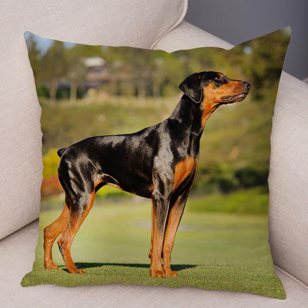 Doberman Pinscher Cushion Cover Both Sided Print Decor Pet Dog Animal Pillow Case for Car Sofa Home Soft Plush Throw Pillowcase