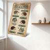 Vintage 'Types of Hedgehog' Educational Metal Sign - North African & Soika Hedgehog Varieties Illustrations, Retro Hand-Drawn Po