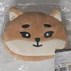 DAY6 Cruise Control Reversible Pouch Young Kei