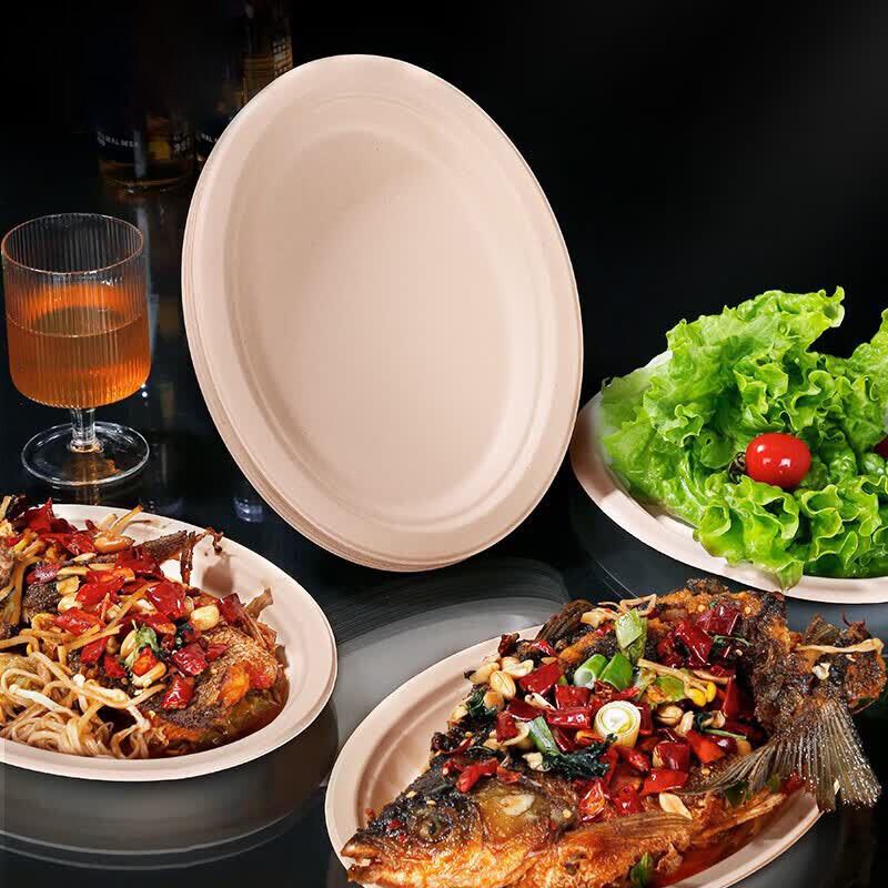 Biodegradable Disposable Oval Dinner Plates