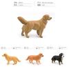 Childrens Pvc Animal Models Featuring Labrador Bernese Mountain And Corgi For Playroom Decor