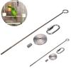 Stainless Steel Small Parrot Toy Meat Kabob Food Holder Stick Fruit Small Animal Skewer Bird Treating Tool