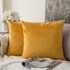 Velvet Seat Cushion Cover Solid Color Pillow Cover Nordic Simple Ins Style Pillow Velvet Pillow Cover Cushion