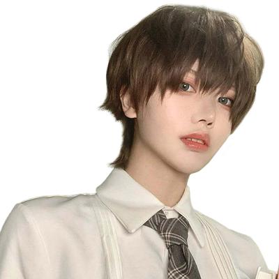 PEACOCO Perücke Kurze Perücke Kleidung Blonde Perücke Wolf Schwarzes Haar Cosplay Kastaniengraues Haar Nicht erkennbares Kühles Braun Herren Herren Herren