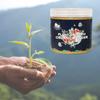 Polvere per la Crescita delle Piante Radicante Conveniente per Giardino Patio Verdure