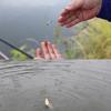 Artifact Trigger Spring Hook Automatic Fishing Device Spring Ejection Hook Automatic Fishing Hook