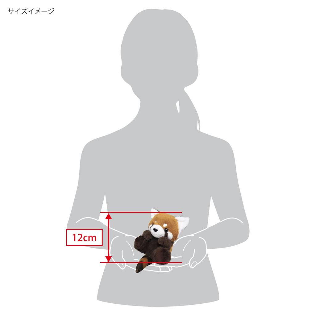 Sanei Boeki Original Kyunkoro Plush Toy, Red Panda, W10 x D12 x H12cm, Animal