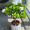 400/200/100PCS Micro Landscape Decoration Wooden Bee Ladybug Figurine Self-Adhesive Stickers Home Garden Beetle Miniature Bonsai Flower Decor