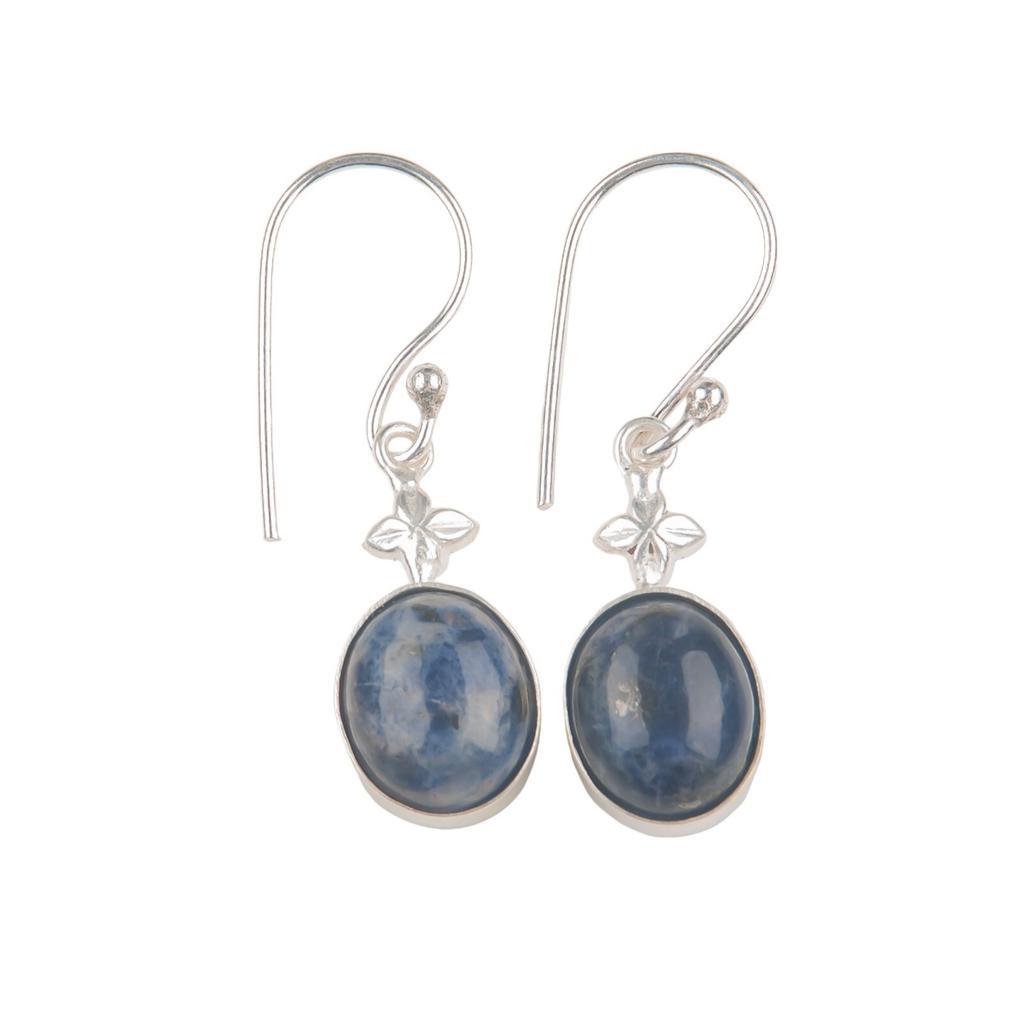 Sodalite Gemstone 925 Sterling Silver Trendy Jewelry Earrings Anniversary Gift EE-6-20