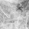Haunted House Halloween Spider Web and Silk Decorations with Spiders