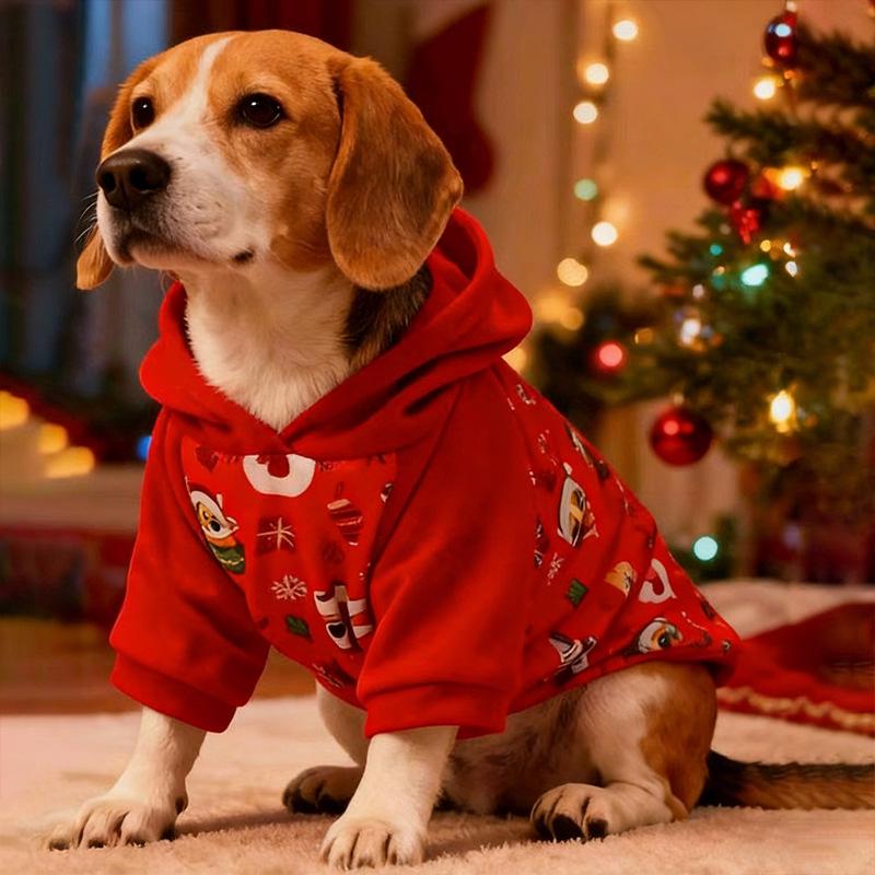 Christmas & New Year Pet Clothes: Cute Dog/Cat Teddy Bear Outfit for Winter