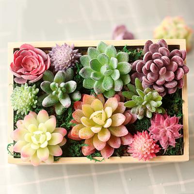 Micro Landscape Ornament Simulation No Watering Realistic Ornaments Flocking Texture Indoor Decorative Plants for Home