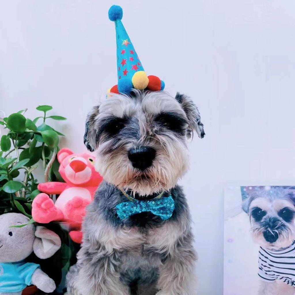 Pet Birthday Party Decoration Set: Dog and Cat Balloons, Hat, Props, Banner, and Pull Flag
