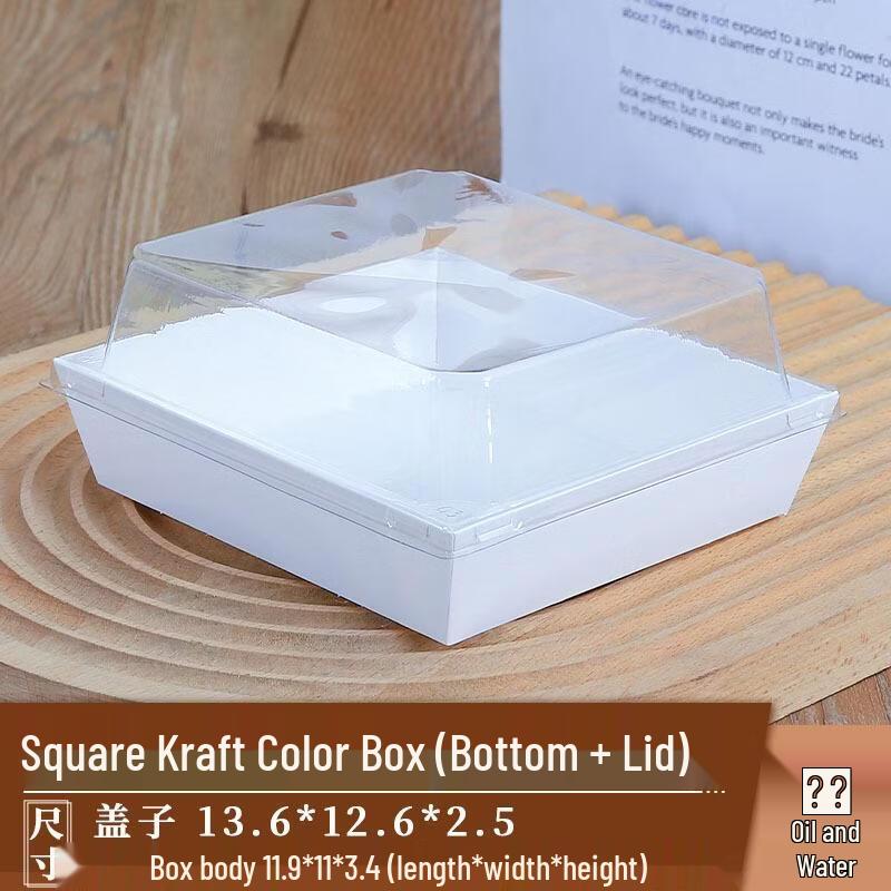 JingJingRS Disposable Square White Picnic Boxes